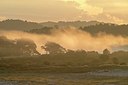 BUITEN BEELD Foto: 345785