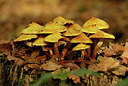 BUITEN BEELD Foto: 345821