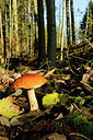 BUITEN BEELD Foto: 345833