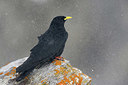 BUITEN BEELD Foto: 345841