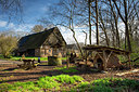 BUITEN BEELD Foto: 345877