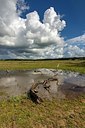 BUITEN BEELD Foto: 345915
