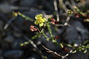 BUITEN BEELD Foto: 345931