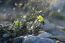 BUITEN BEELD Foto: 345936