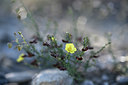 BUITEN BEELD Foto: 345937