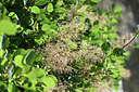 BUITEN BEELD Foto: 345939