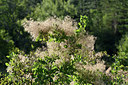 BUITEN BEELD Foto: 345941