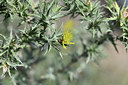 BUITEN BEELD Foto: 345950