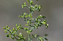 BUITEN BEELD Foto: 345954