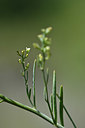 BUITEN BEELD Foto: 345955