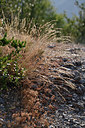 BUITEN BEELD Foto: 345970