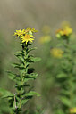 BUITEN BEELD Foto: 345974