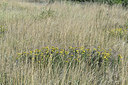 BUITEN BEELD Foto: 345975