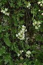 BUITEN BEELD Foto: 345984