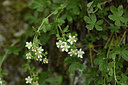BUITEN BEELD Foto: 345985