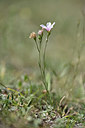 BUITEN BEELD Foto: 345994