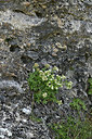 BUITEN BEELD Foto: 345995
