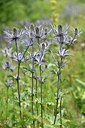 BUITEN BEELD Foto: 346003