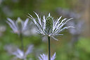 BUITEN BEELD Foto: 346011