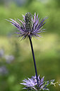 BUITEN BEELD Foto: 346014