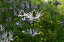 BUITEN BEELD Foto: 346021