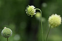 BUITEN BEELD Foto: 346026
