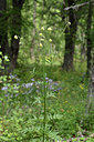 BUITEN BEELD Foto: 346027