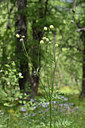 BUITEN BEELD Foto: 346028