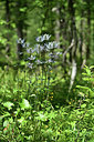 BUITEN BEELD Foto: 346035