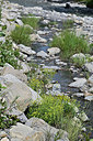 BUITEN BEELD Foto: 346042