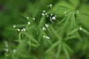 BUITEN BEELD Foto: 346051