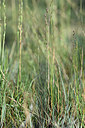 BUITEN BEELD Foto: 346056