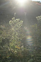 BUITEN BEELD Foto: 346076