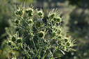 BUITEN BEELD Foto: 346081
