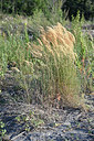 BUITEN BEELD Foto: 346118