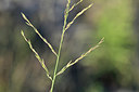 BUITEN BEELD Foto: 346119