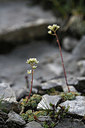 BUITEN BEELD Foto: 346135