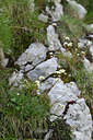 BUITEN BEELD Foto: 346141