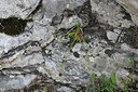 BUITEN BEELD Foto: 346146