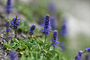 BUITEN BEELD Foto: 346149