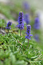 BUITEN BEELD Foto: 346151