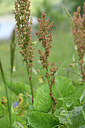 BUITEN BEELD Foto: 346153