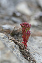 BUITEN BEELD Foto: 346160