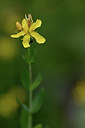BUITEN BEELD Foto: 346164