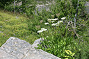BUITEN BEELD Foto: 346175