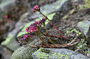 BUITEN BEELD Foto: 346187