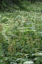BUITEN BEELD Foto: 346196