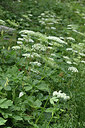 BUITEN BEELD Foto: 346198