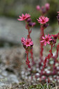 BUITEN BEELD Foto: 346201