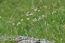 BUITEN BEELD Foto: 346212